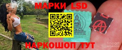 мяу мяу мука Славгород