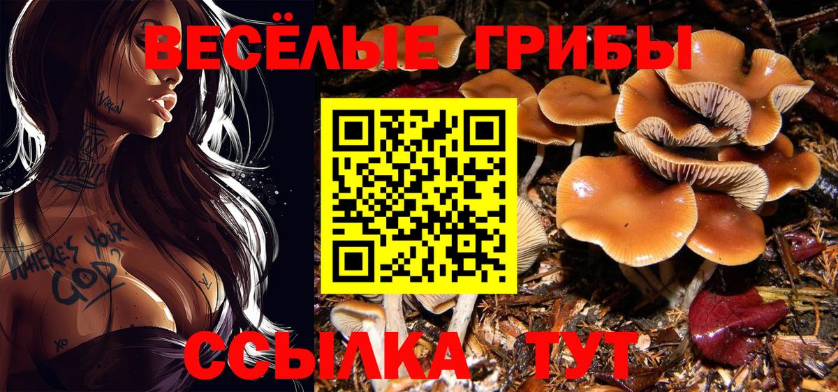 Галлюциногенные грибы прущие грибы Азнакаево
