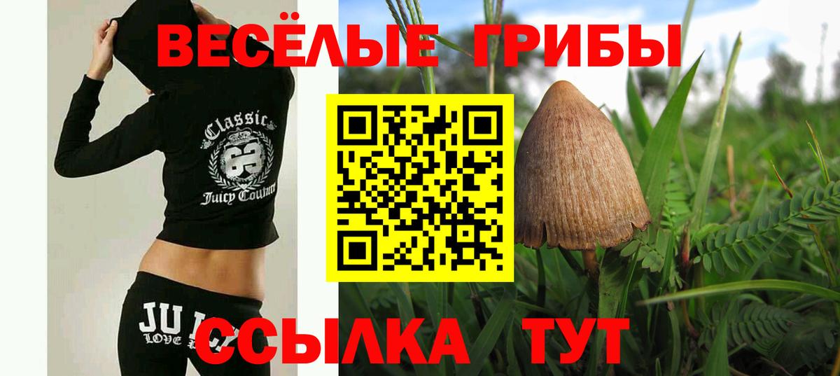 Азнакаево  Галлюциногенные грибы Psilocybe  Вход с VPN 
